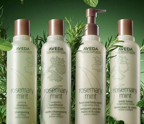 Aveda Rosemary Mint shampoo, conditioner and collection bottles surrounded by fresh rosemary and mint